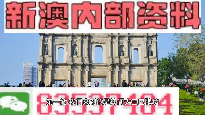 新澳门精准免费大全，一网打尽攻略秘籍