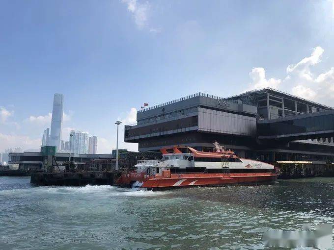 澳门与香港一肖一码一一特一中，全面释义、解释与落实