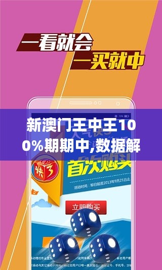 澳门王中王100%期期中，深度解析与实际应用