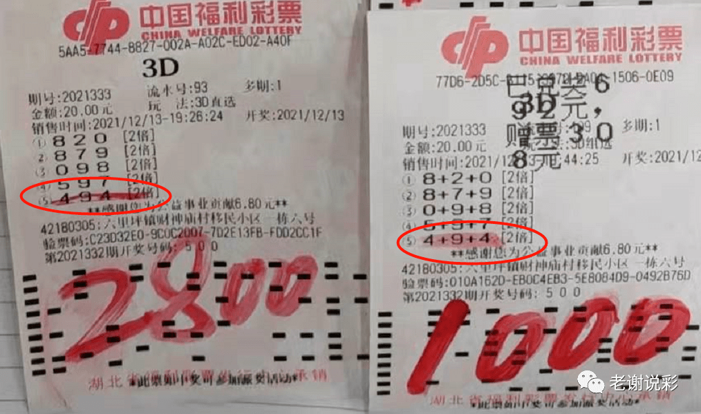 探索未来彩票世界，2025年天天彩免费资料与澳门天天精准好彩的24码之谜