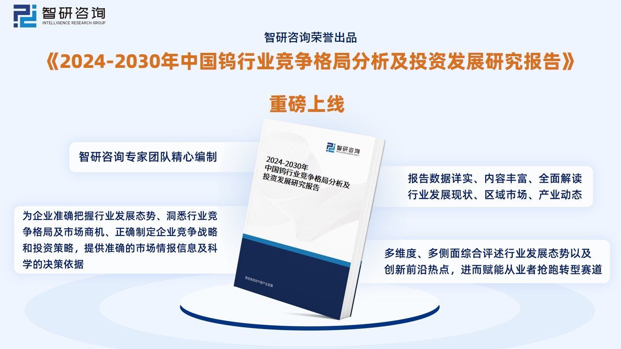 迈向2025，正版资料免费共享，中特领域的详细解答与落实策略