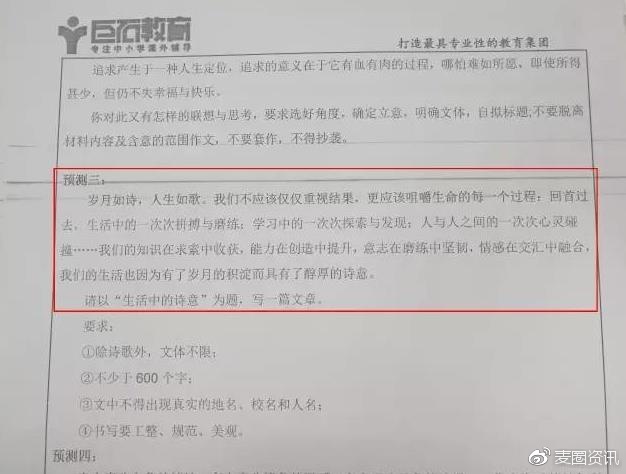 一肖一码一一肖一子，全面释义、解释与落实