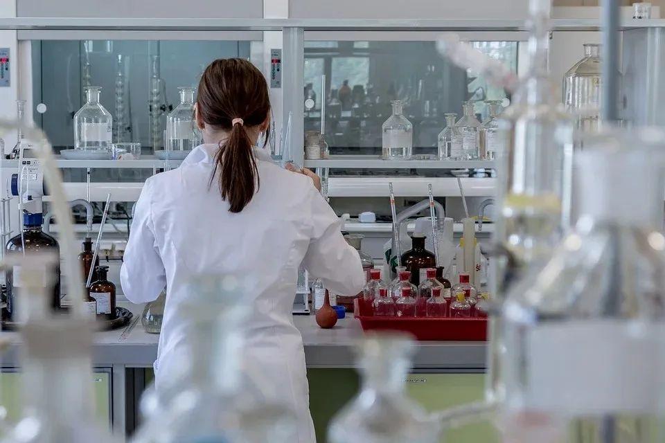 新澳门2024年正版免费公开的全面释义、解释与落实
