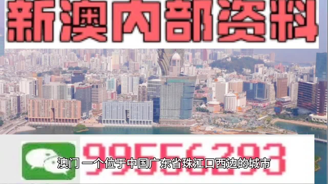 探索与解析，2025年新澳门天天免费精准大全