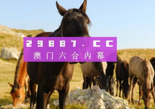 澳门与香港管家婆的精准图片，全面释义、解释与落实