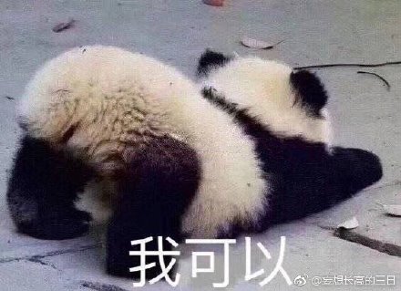 今晚必开一肖四不像图，解读与落实的探讨