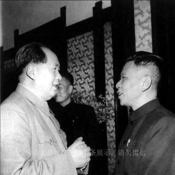 探索未来，澳门新机遇下的精准免费策略全面释义与落实