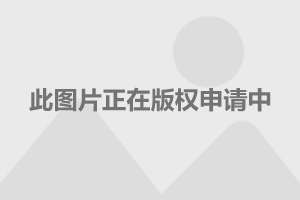 百科 第44页