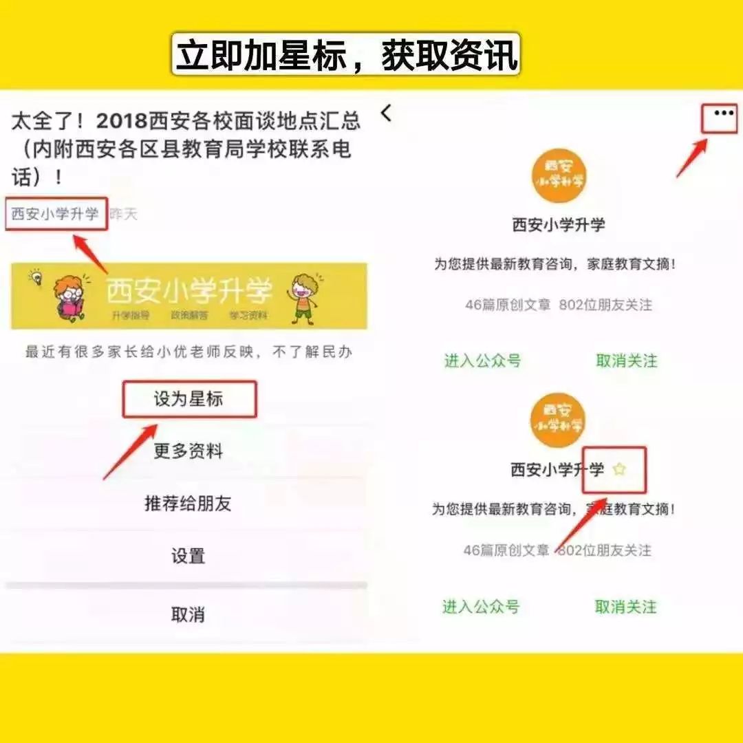 新澳门三中三必中一组热门直播内容与最新更新下载解析