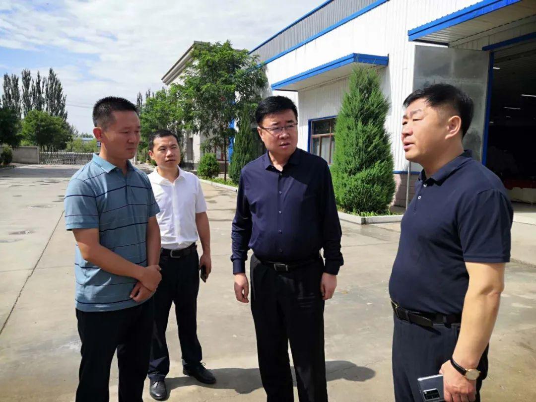新澳精选资料免费提供与精准答案解释落实的全面解析