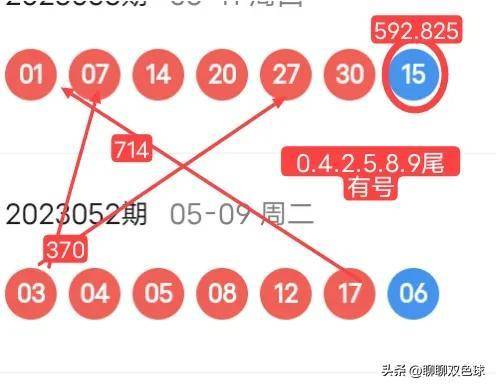 揭秘精准四肖，深度解读与实际应用