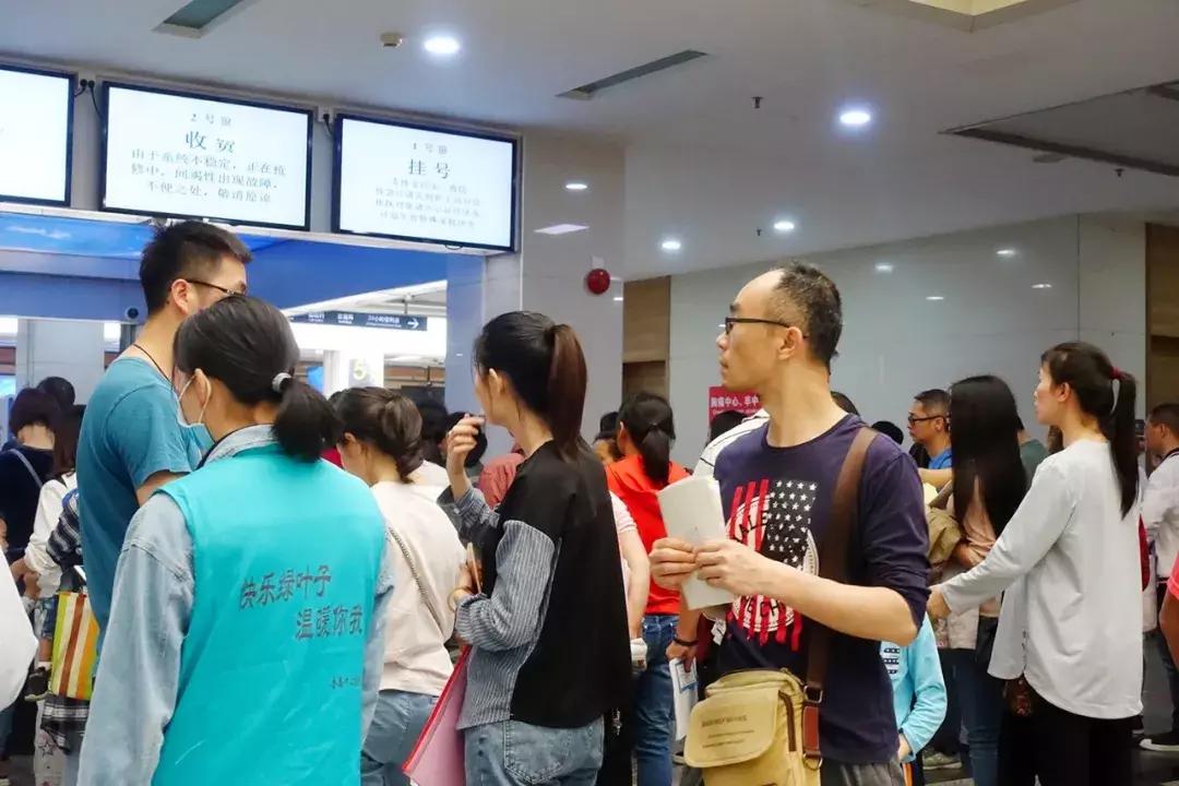 新门内部免费资料大全，详细解答、解释与落实