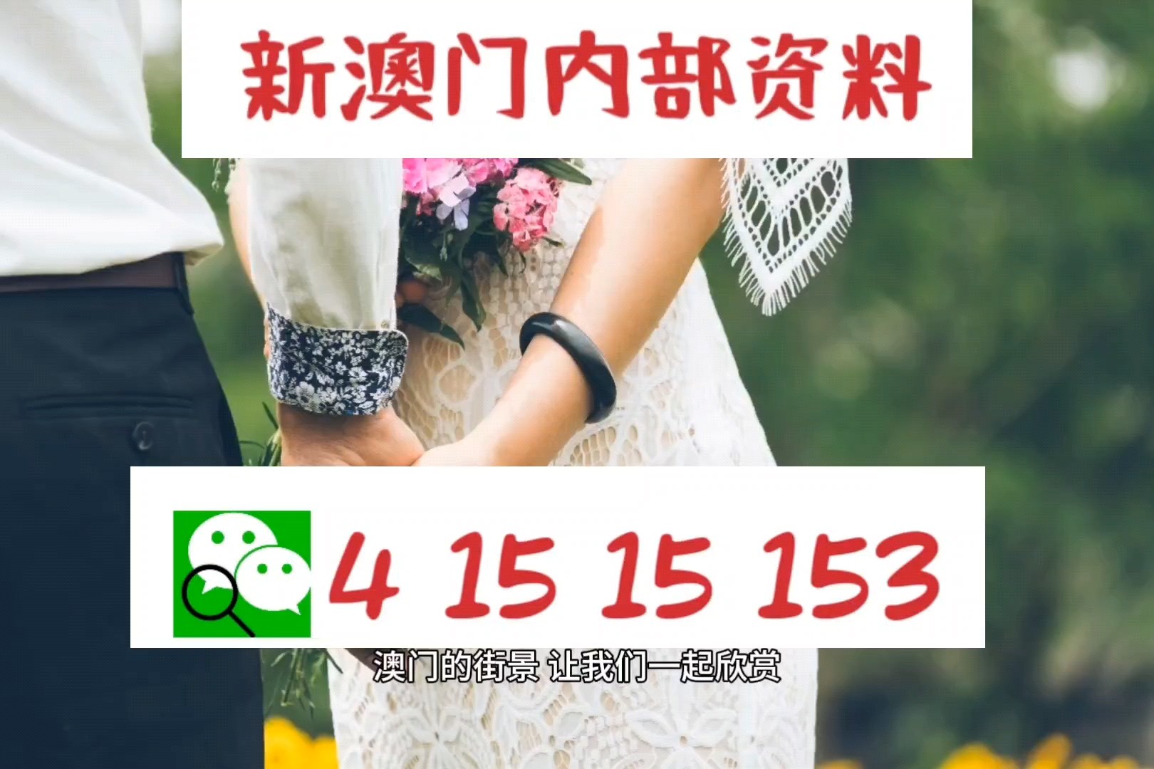 新澳门三中三必中一组热门直播内容与最新更新下载解析