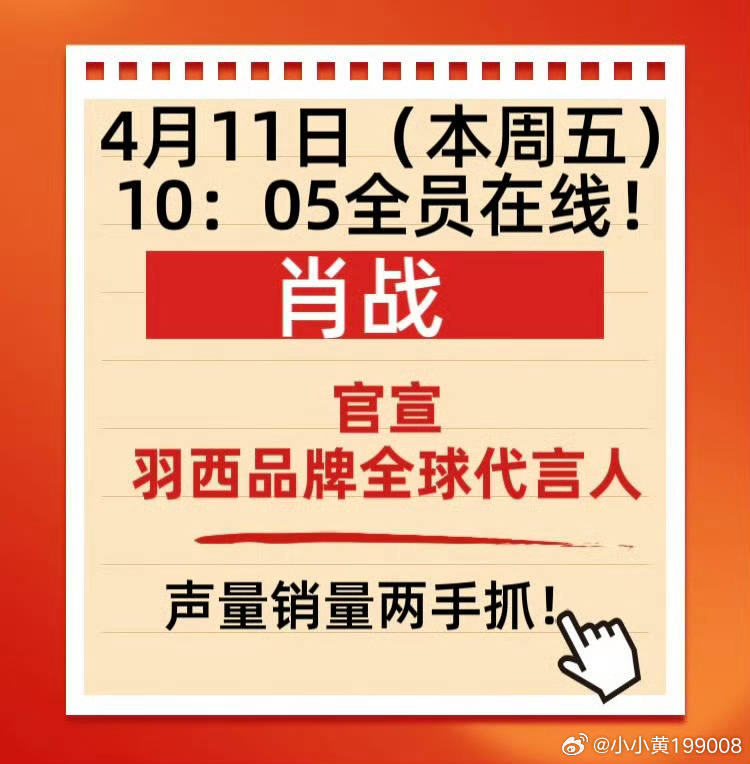 一肖一码一一肖一子，全面释义、解释与落实