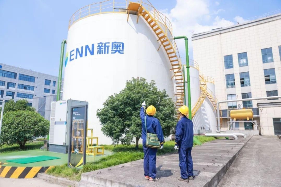 关于新澳天天正版资料大全的全面解答与解析—走向未来的指引（附2025年最新资料）
