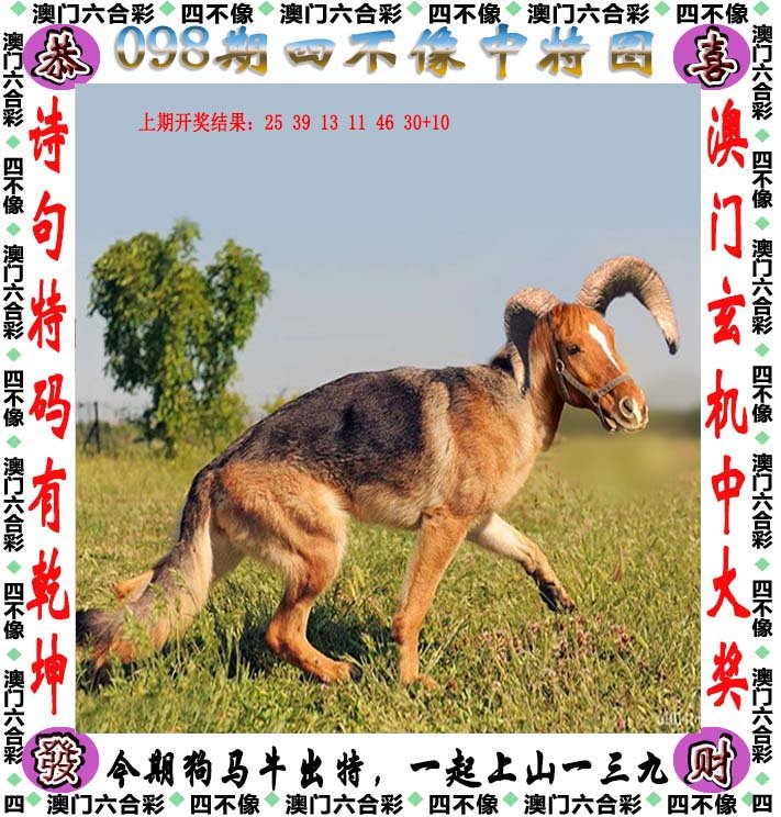 今晚必开一肖四不像图，深度解析与实际应用指导