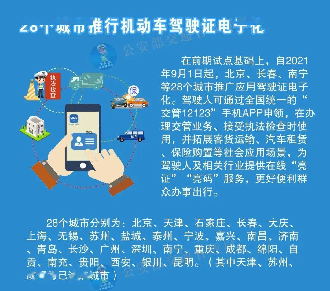 新澳2025资料大全经典版，高效回顾方案与免费资源探索