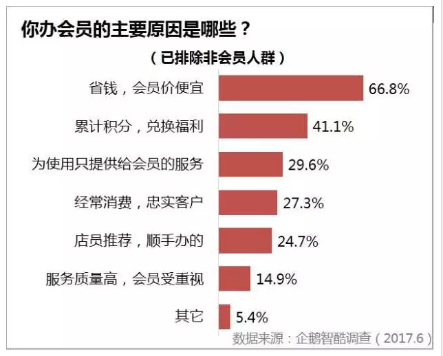 新奥管家婆资料2025年85期前沿解答与深入解析，落实策略与洞察