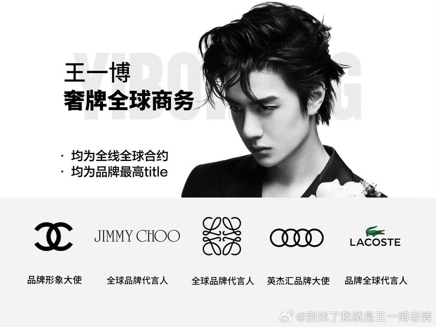 王者归来，王中王一肖一特一中一，全网赞誉如潮，精确无比