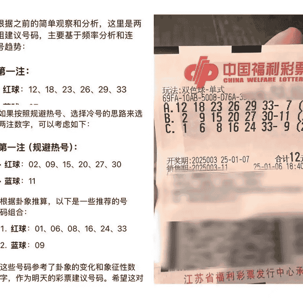 警惕虚假宣传，解读澳门彩票业与精准预测的未来展望
