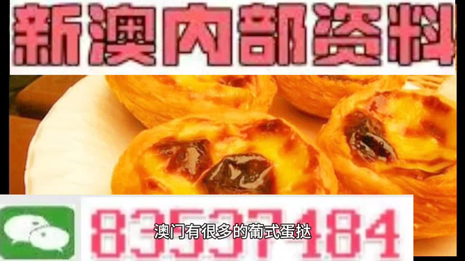 新澳精准资料免费提供网站—揭秘背后的秘密与真相（回忆版）