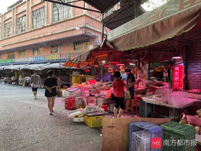 揭秘2025新奥最精准免费大全，真相与防范策略