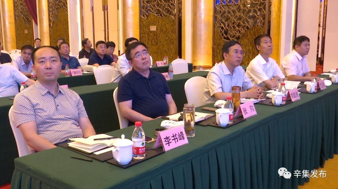 迈向2025，免费资料大全的精选解析、落实与策略