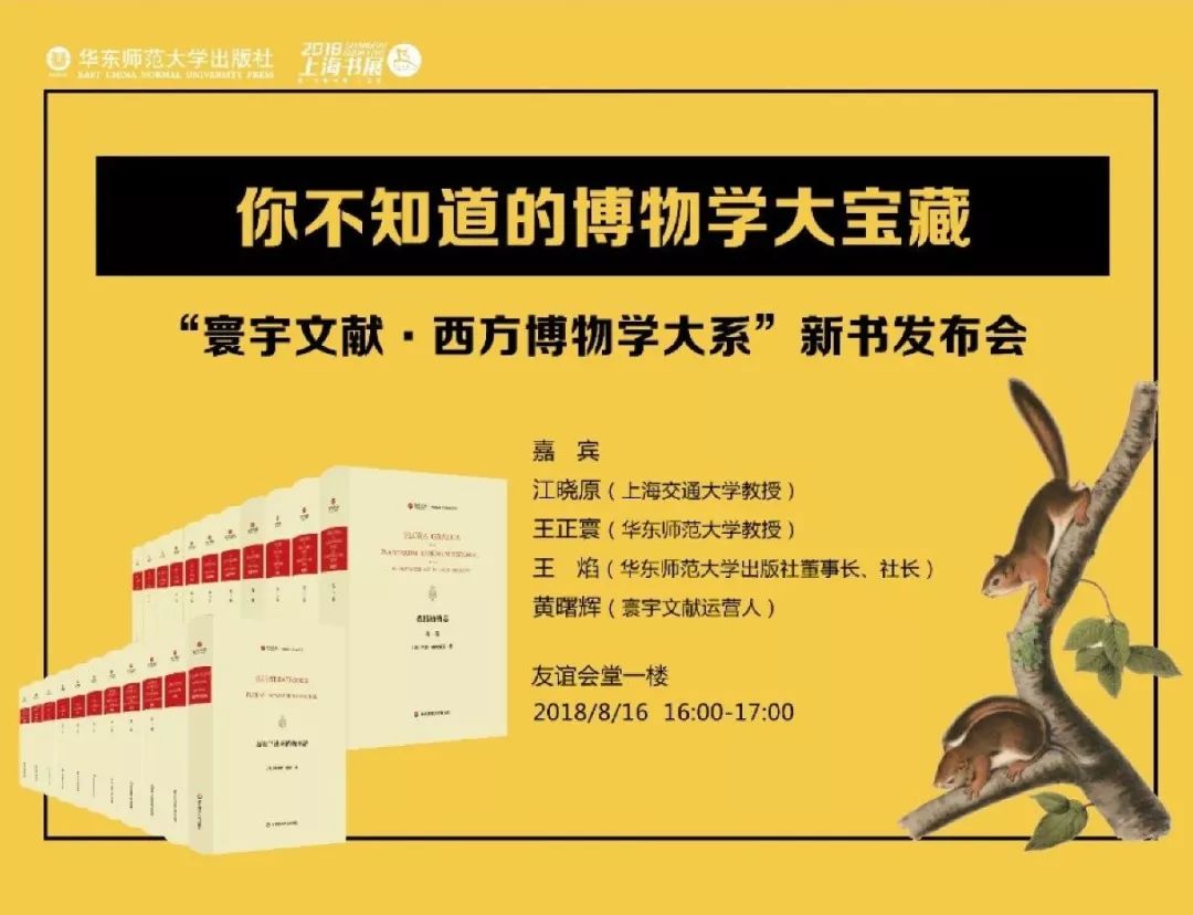 新澳2025资料大全免费，高效回顾方案与经典版探索
